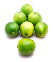 Group of whole green lime like billiard balls position isolated on white background.