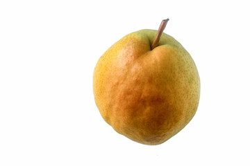 Türkische Deveci-Birne