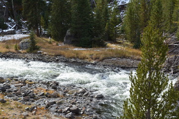 White Waters and big rocks 