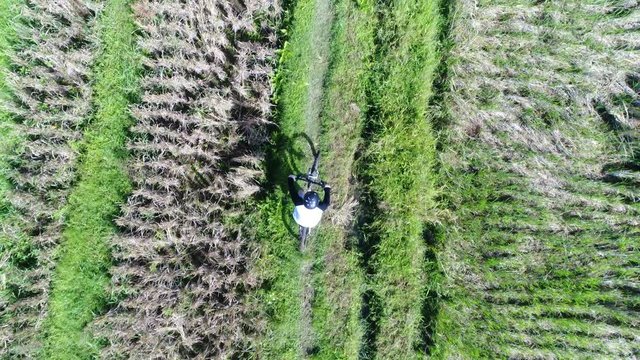 aerial drone follows driver bicycle at the top grassland road Bali Asia 4k