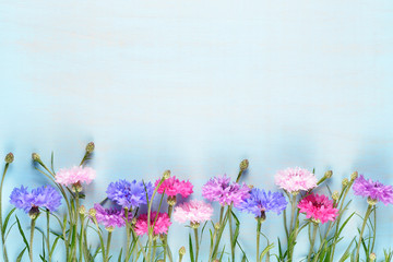 Cornflowers on blue wooden background with copy-space