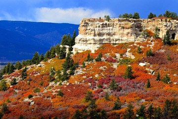 Fototapeta premium Rocky Mountain Autumn