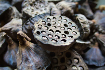Dry old  lotus pods with seeds and empty holes close up for background in wicker basket. Seed stem. Amazing plant design.Partial focus
