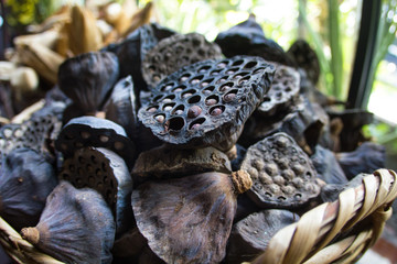 Dry old  lotus pods with seeds and empty holes close up for background in wicker basket. Seed stem. Amazing plant design.Partial focus
