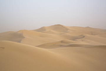 Fototapeta na wymiar Desert beauties