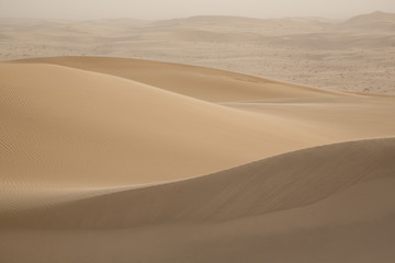 Fototapeta na wymiar Desert beauties