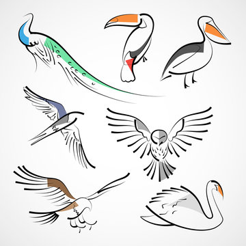 Animals, species of birds: peacock, toucan, pelican, swallow, owl, hawk, falcon, eagle, swan. Isolated on white background. Design of vector illustration.