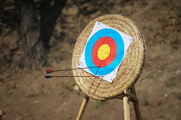 Arrows in archery target on archery range