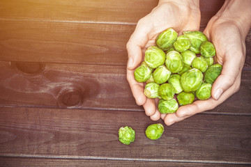 Brussels sprouts in hands, on a dark background.