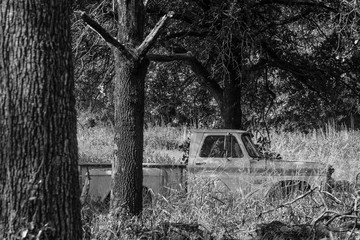 Black and white photograph of an old and abandoned pickup truck surrounded by tall grass and trees. © Tim