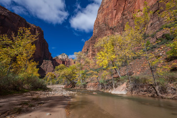 Scenic Zion National Park Landscape in Autumn