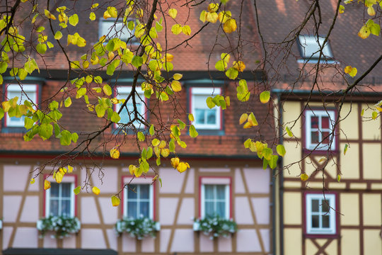 Yellow linden leaves on the background of traditional old German