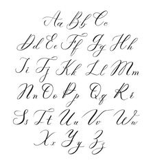 Vector modern calligraphy alphabet
