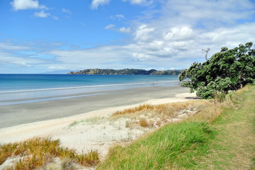 New Zealand Sea Views