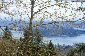 View of Salish Sea from Stanley Park Vancouver Canada