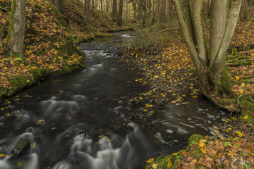 Bobri creek near waterfalls in autumn day