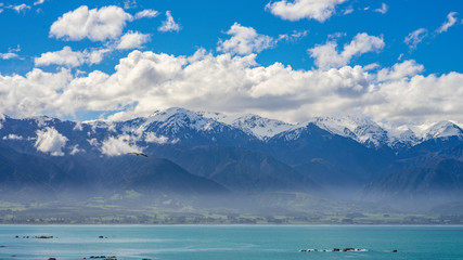 Panorama of Ocean and Mountain