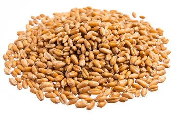 Wheat grains. Pile of grains, isolated white background.