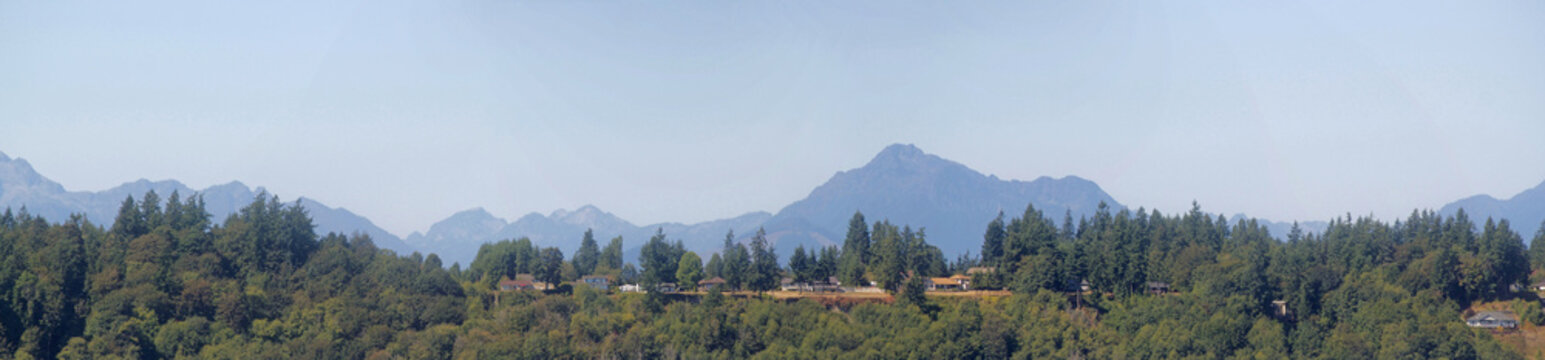 Ridge with Pine Trees