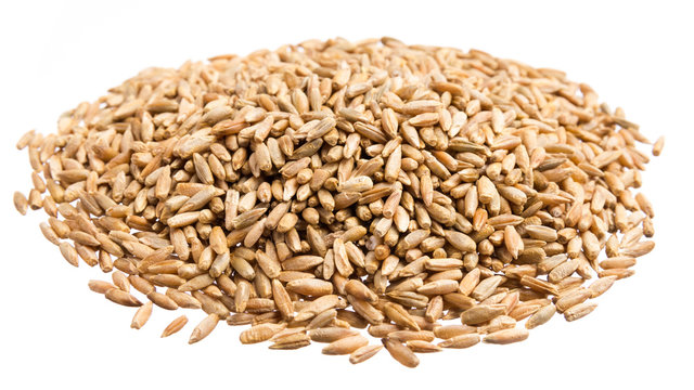 Rye.  Pile of grains, isolated white background.