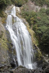 Fototapeta na wymiar 奈良県　千尋の滝