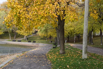 Naklejka premium Nature