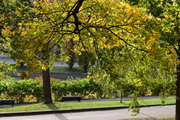 Naklejka premium Nature