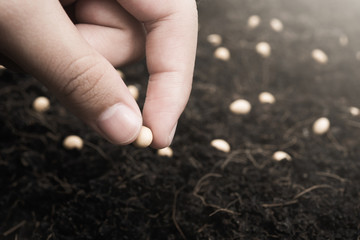 Close up female hand planting seed into ground soil , ecology growth concept background