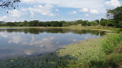 Reflejo en laguna