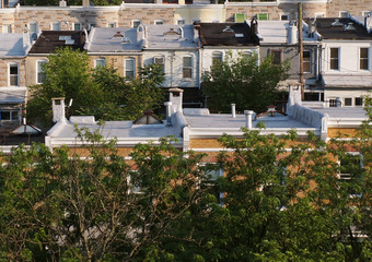 Rowhouse Roof Tops In Springtime