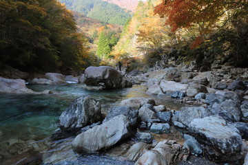 天川村　川迫川の紅葉