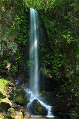 Obraz premium 夏の高瀬峡 大滝 山形県遊佐町 Summer Takase Gorges Otaki / Yuza, Yamagata, Japan