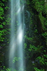 夏の高瀬峡　大滝　山形県遊佐町　Summer Takase Gorges Otaki / Yuza, Yamagata, Japan