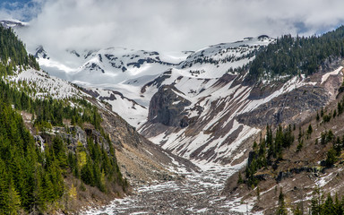 Mt Rainier valley