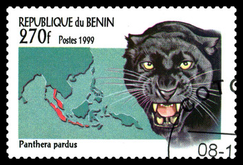 Postage stamp.  Cats. Black Panther.