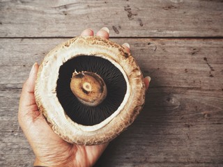 Portobello mushrooms on hand