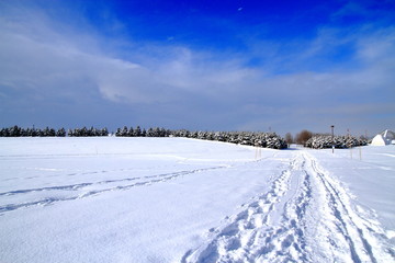 Fototapeta na wymiar Park's snowy landscape