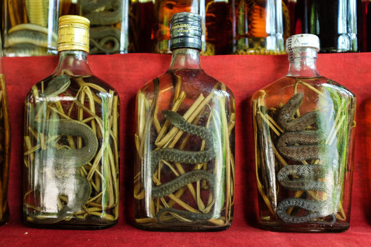 Snake Ferment Whiskey at a a Whiskey Village, Ban Xang Ha, Luang Prabang, Laos.