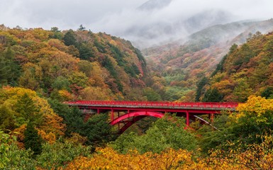 Higashiizawa bridge and valley in autumn season with raining and fog.