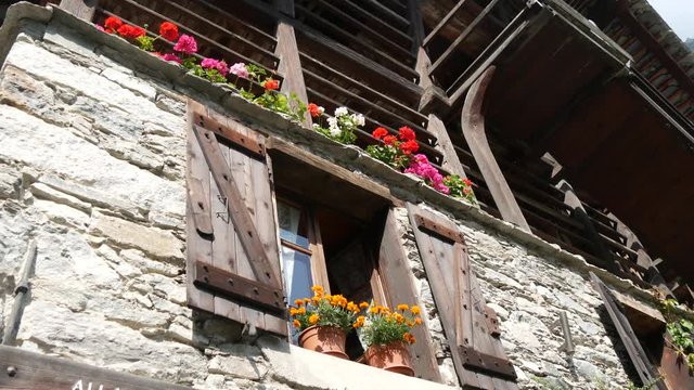 Fiori sulla finestra dello chalet di montagna 