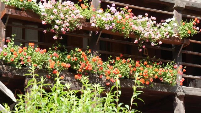 Fiori sulla finestra dello chalet di montagna 