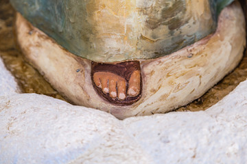 feet of Our Lady of Medjugorje