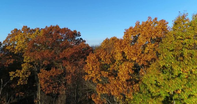 A dramatic rising aerial establishing shot (DX) of a colorful late-Autumn Pennsylvania forest and countryside. A factory's smokestacks is in the distance. Shot at 60fps.

