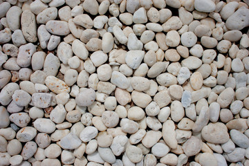 texture small white stone