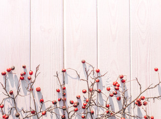 Celebratory winter christmas background. Hawthorn berries and white wood