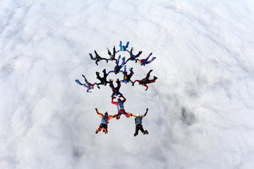 Skydiving. Formation.