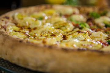pizza brazilian food cuisine