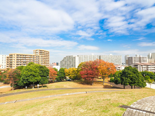 秋色に染まる住宅街