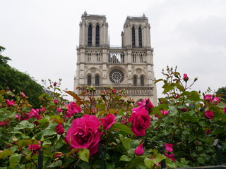 Notre Dame
