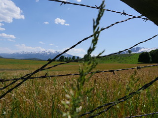 barbed wire fence